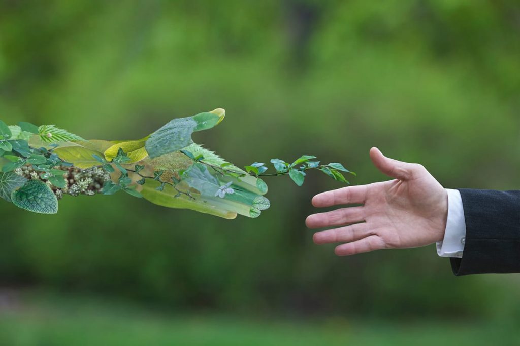 italia economy - green economy