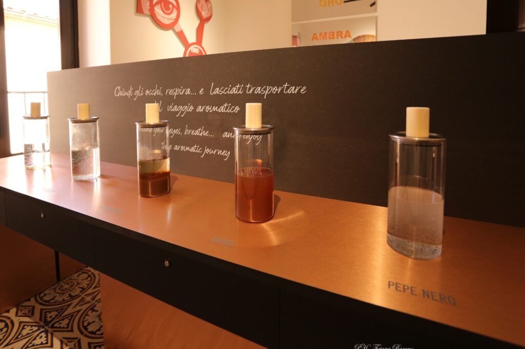 ITALIA ECONOMY - Il Museo del Vino Marsala||